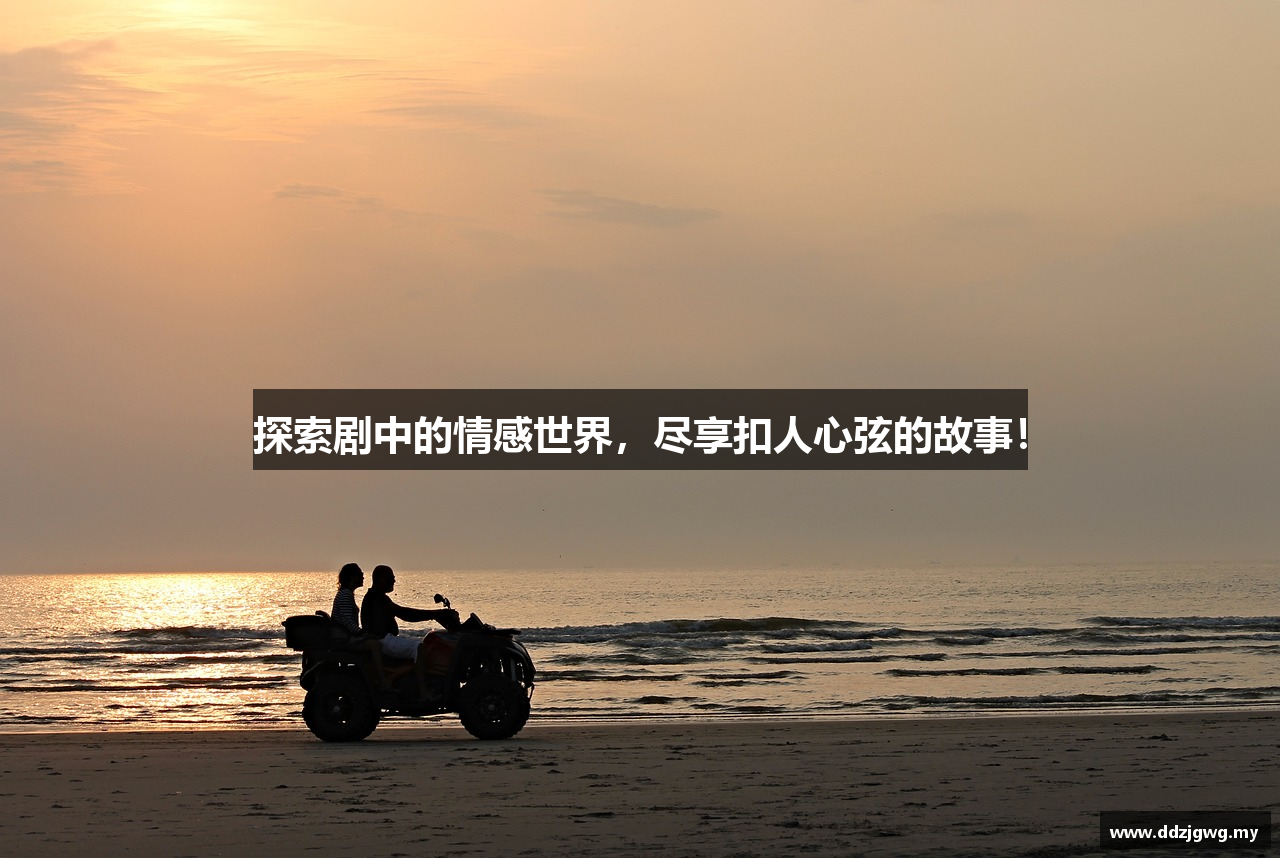 探索剧中的情感世界，尽享扣人心弦的故事！